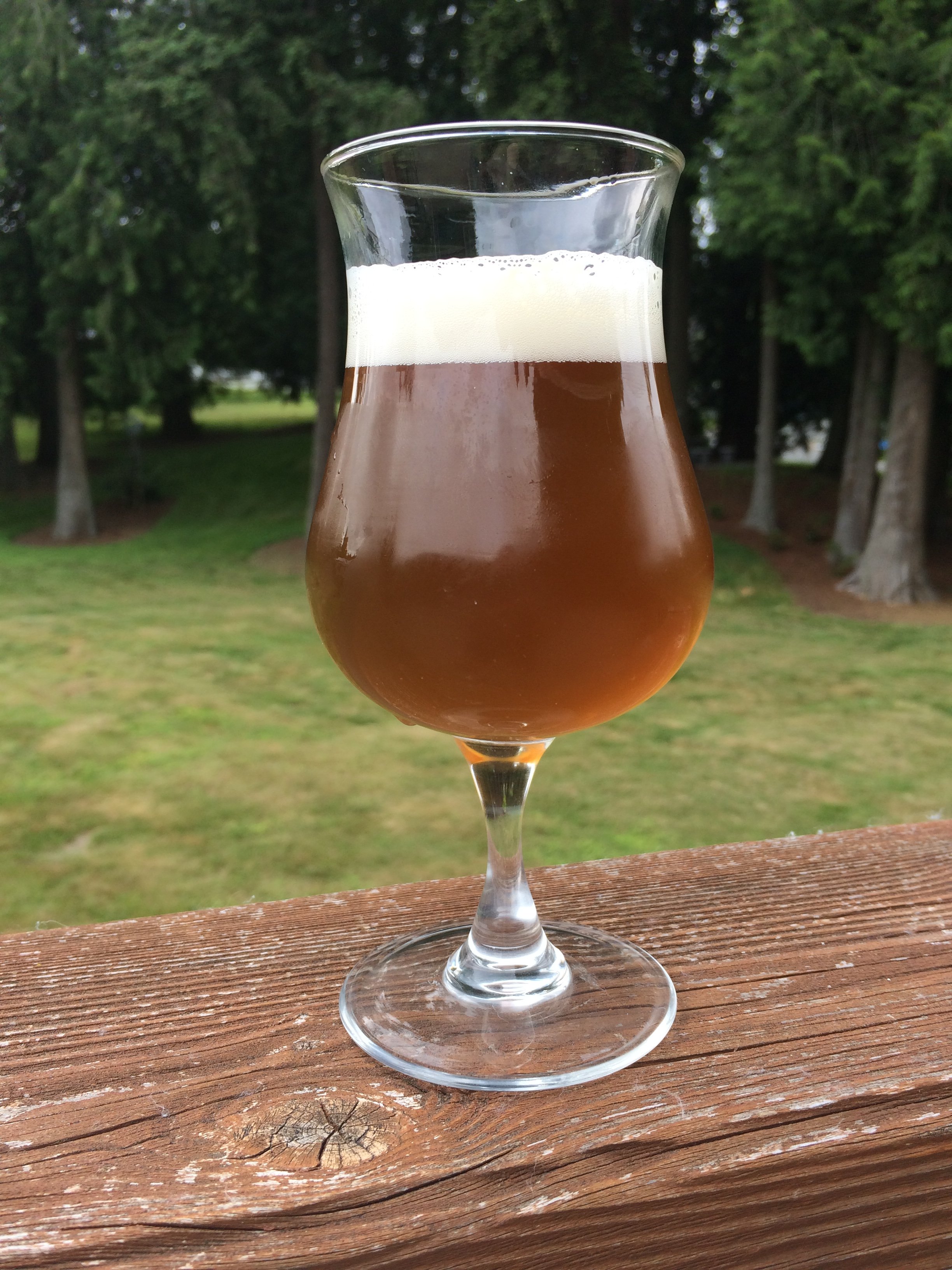 SMaSH IPA 2018-1_MarisOtter-Mosaic_Tulip.jpeg