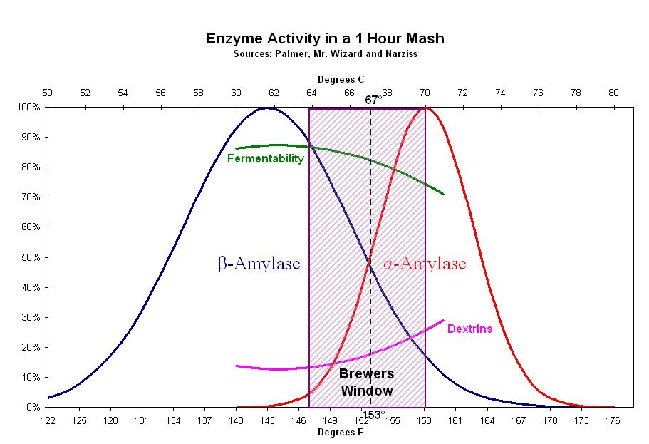 Enzyme Activity In Mash