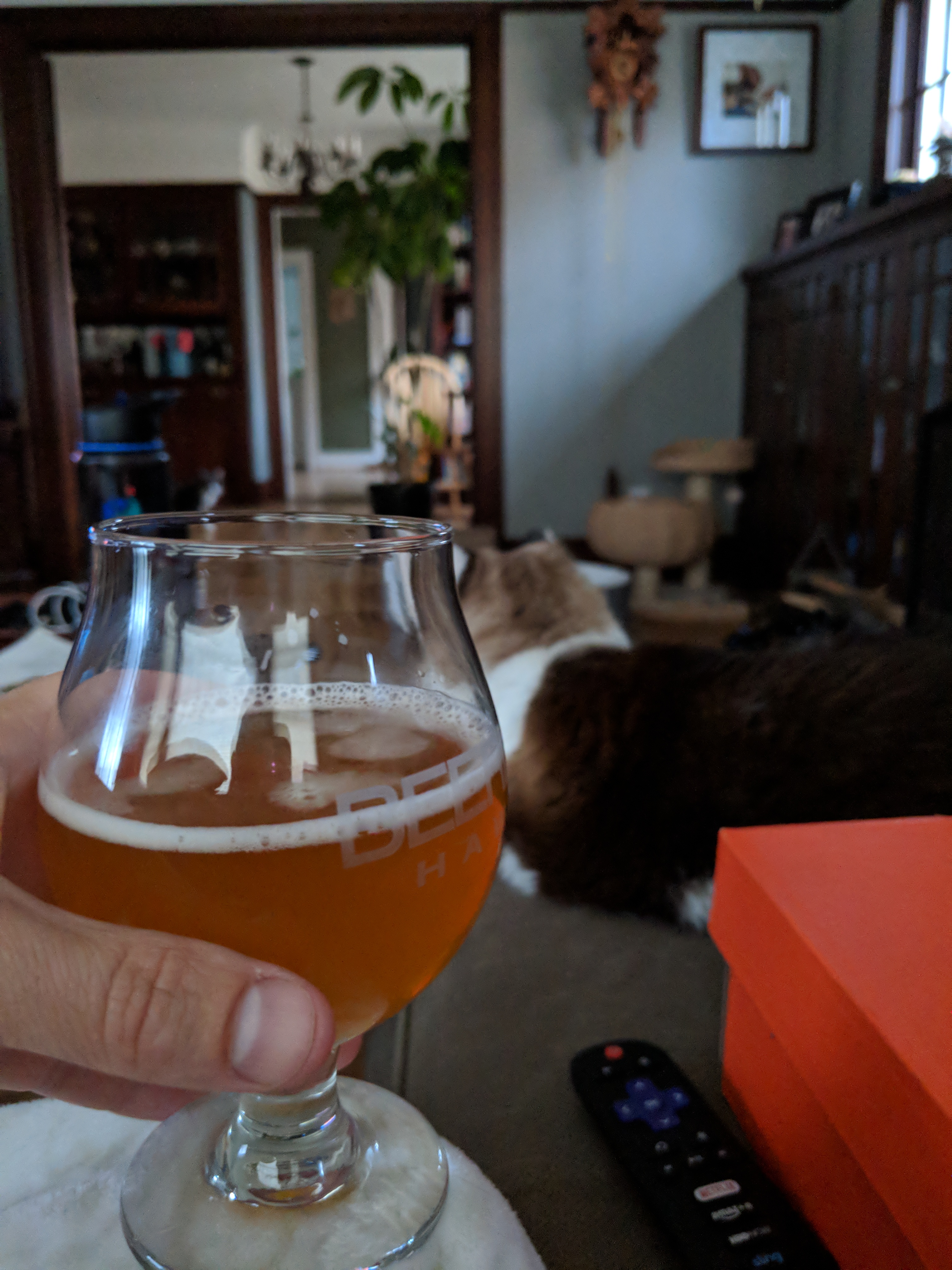 IMG_20180619_201932.jpg