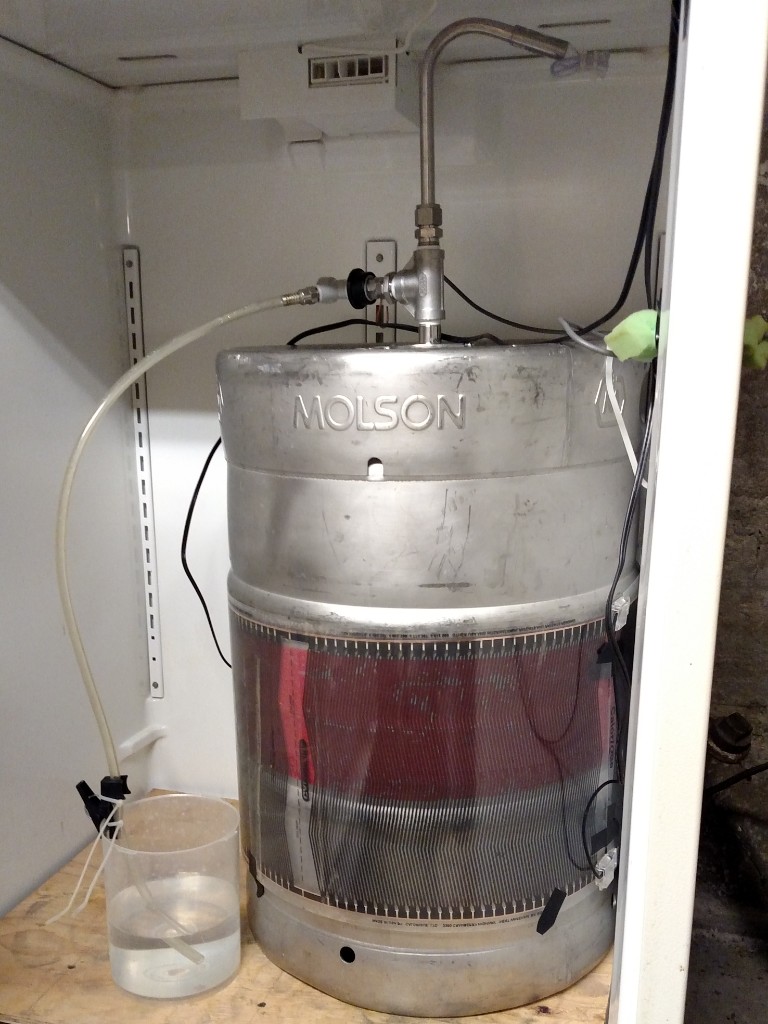 Sanke Keg Fermentor.jpg