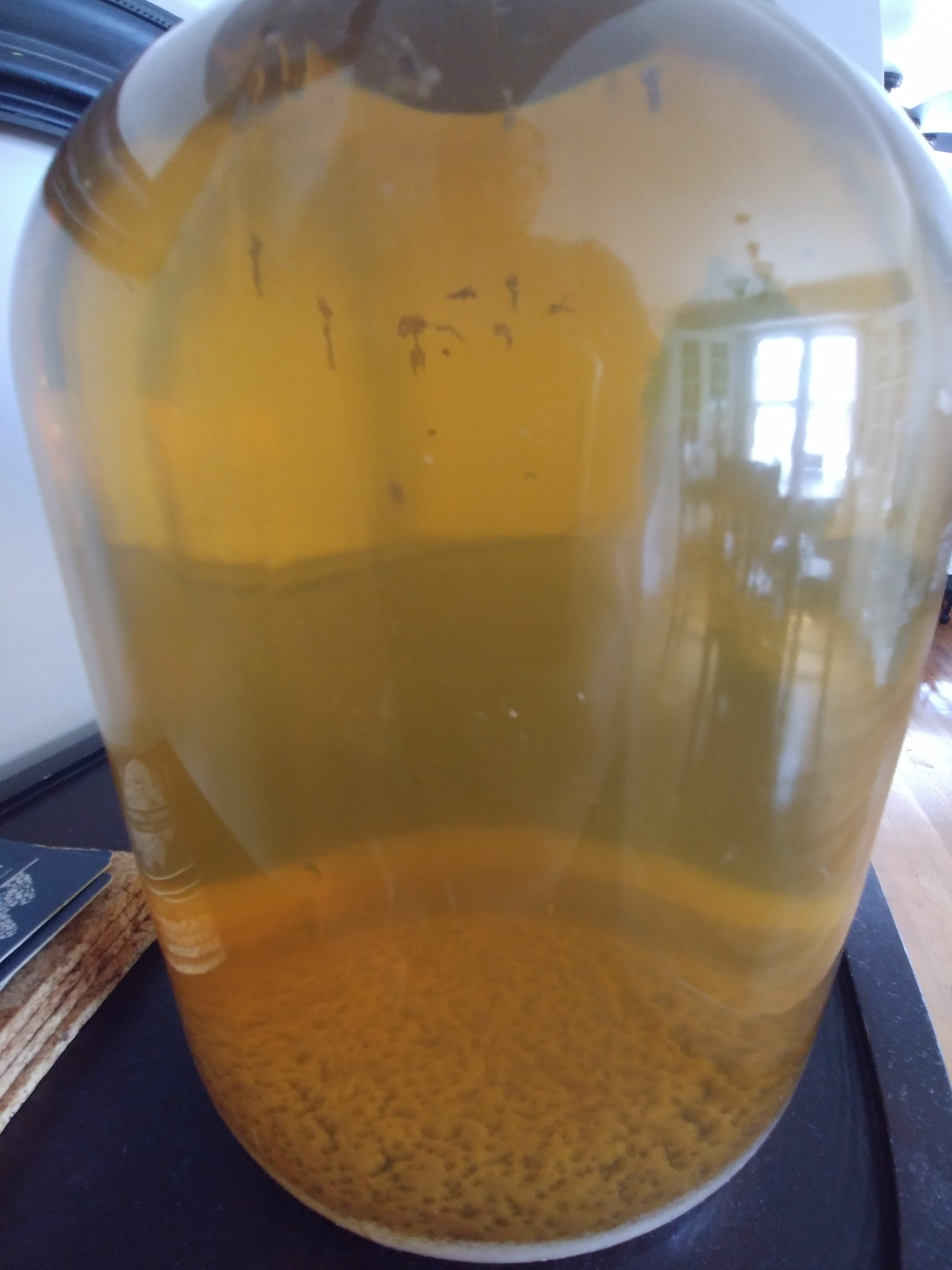 20180626_125715.jpg