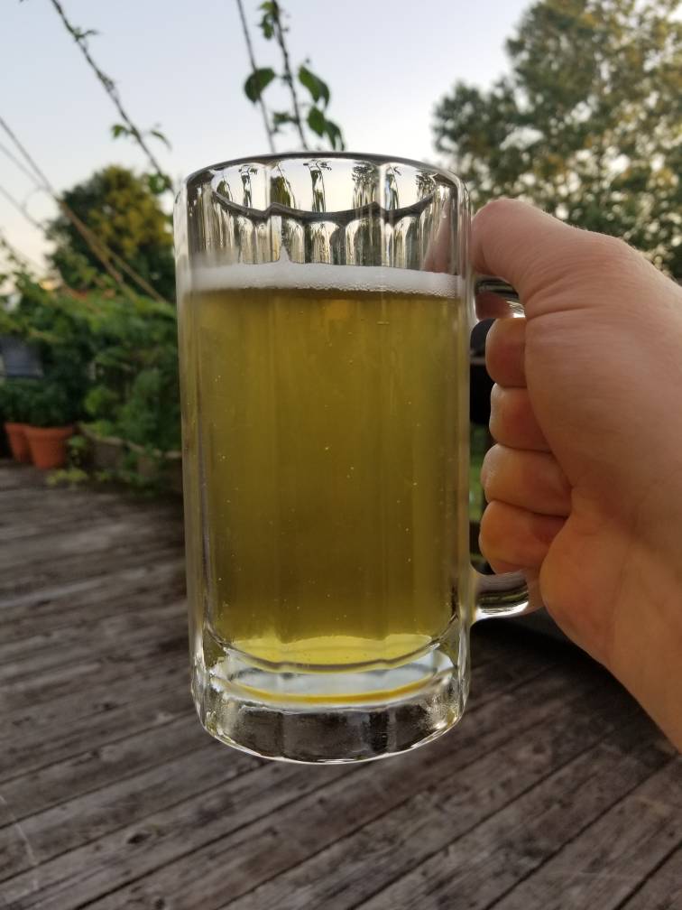 20180629_203424.jpeg 20180629_203424.jpeg