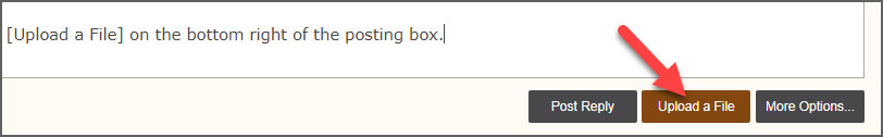 Button - Upload File.png