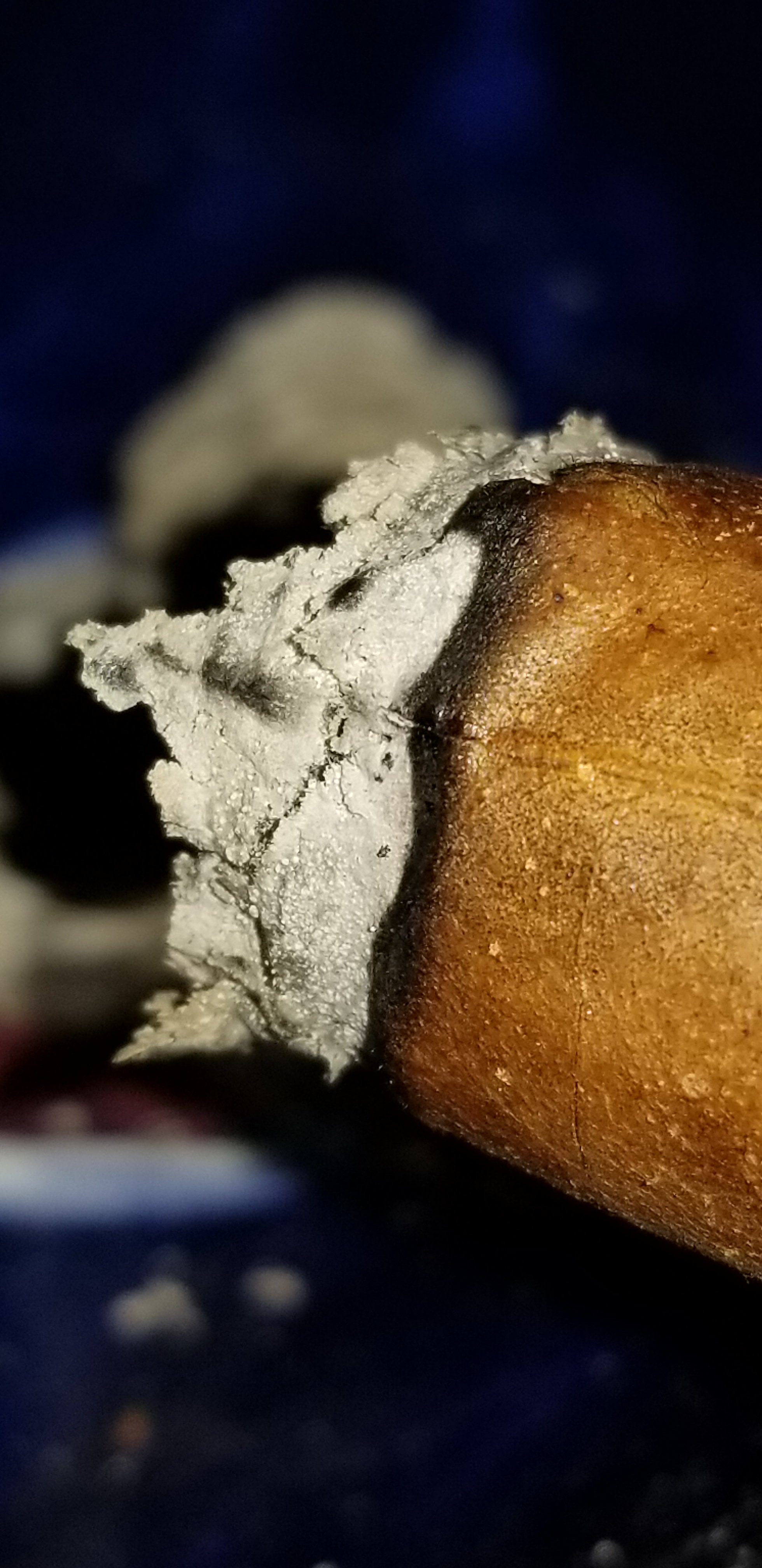 20180701_205607.jpg