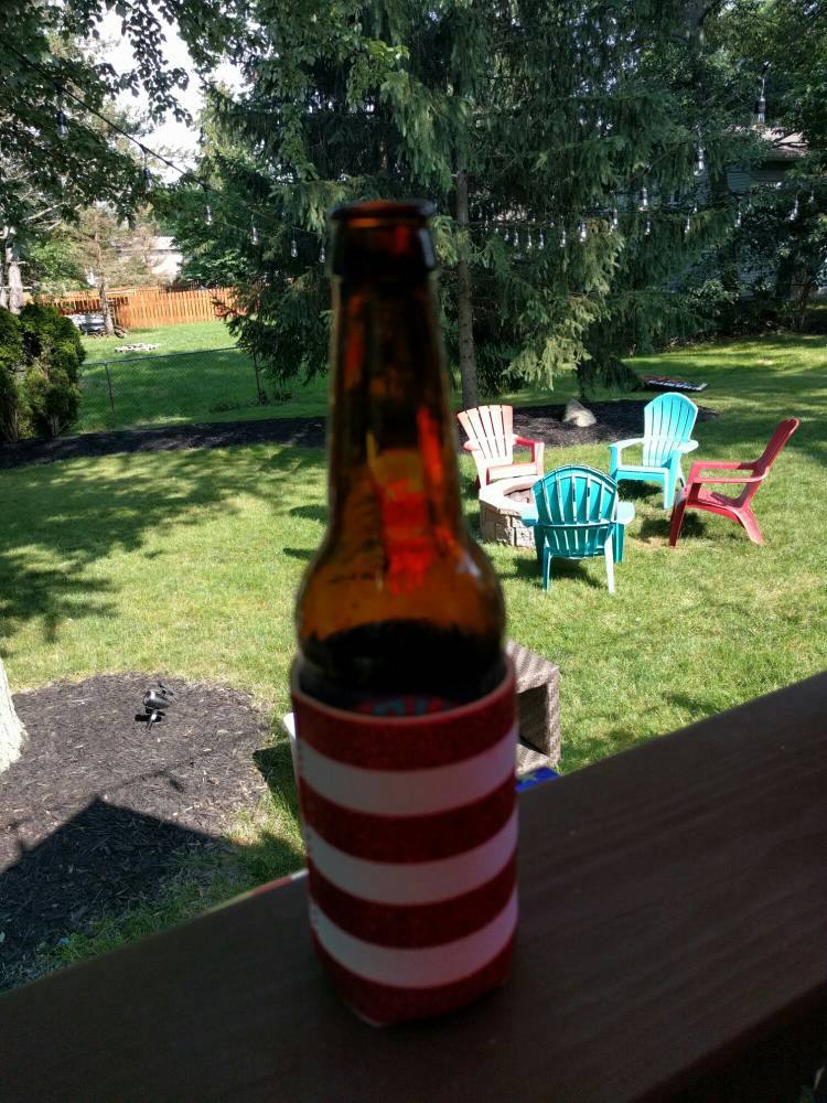 aviary-image-1530737453391.jpeg