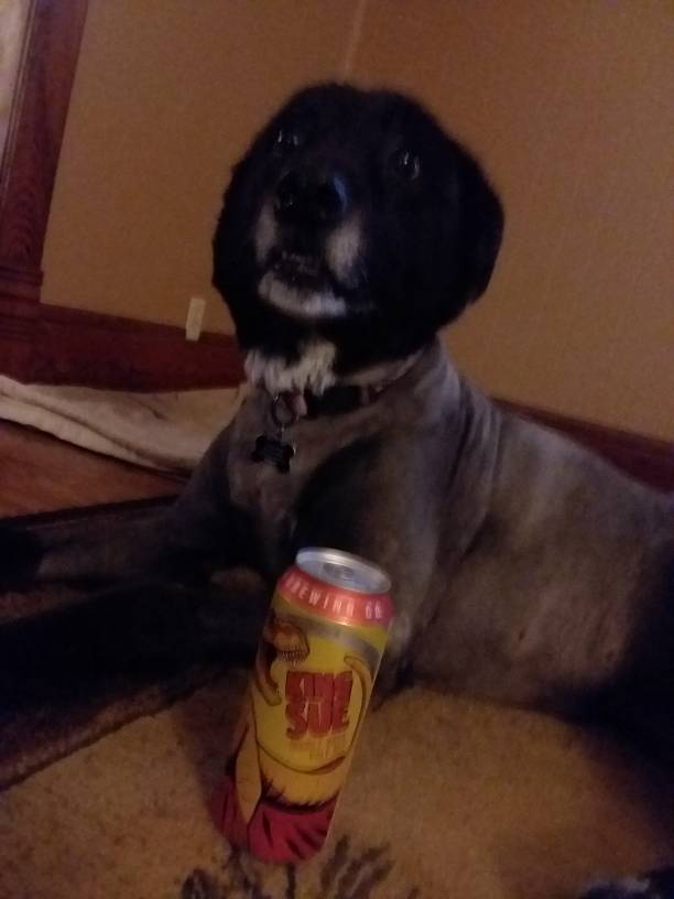 20180710_202146.jpeg