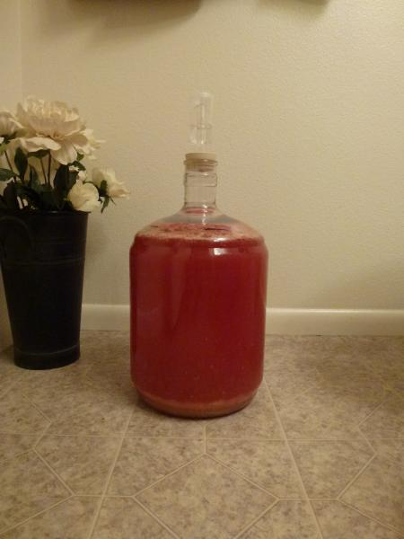 Raspberry Melomel.jpg