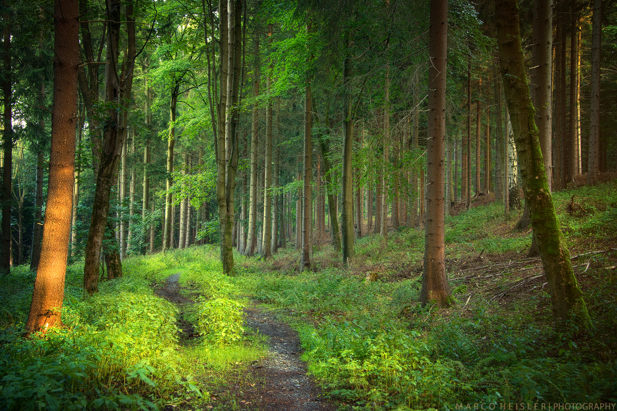 feeling_green_kl_by_marcoheisler-d9is4gk.jpg