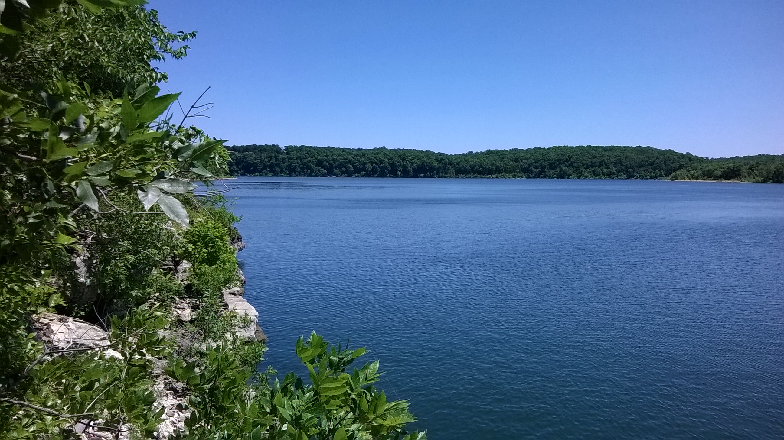 WP_20140703_008.jpg