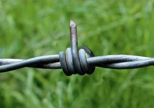 barbedwire.jpeg