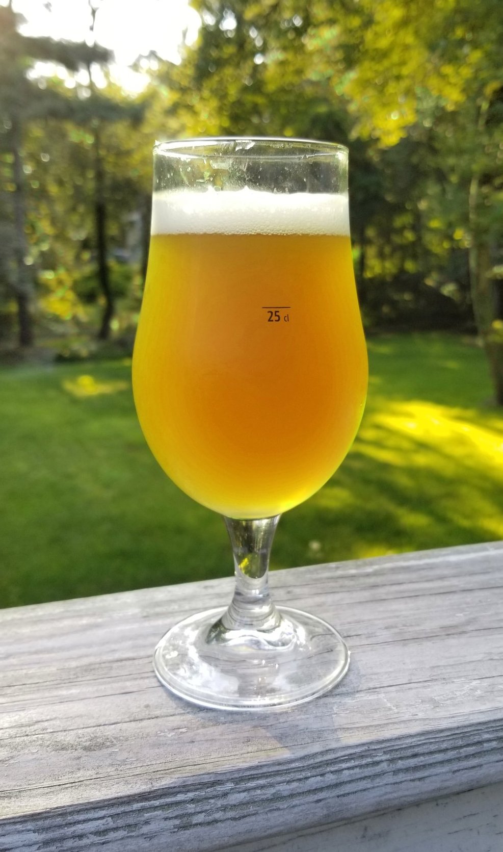 zombie_neipa.jpg