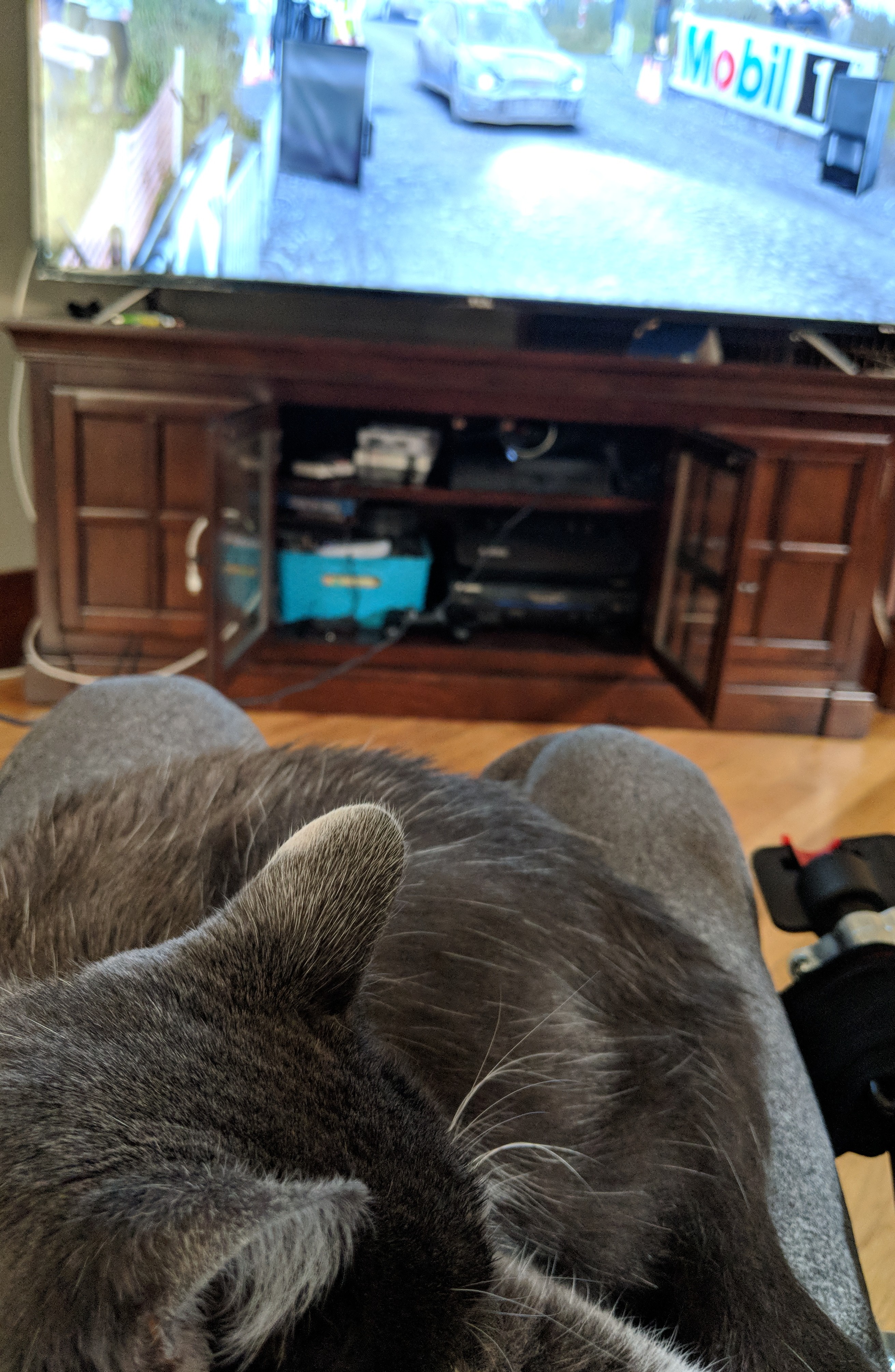 IMG_20180807_110606.jpg