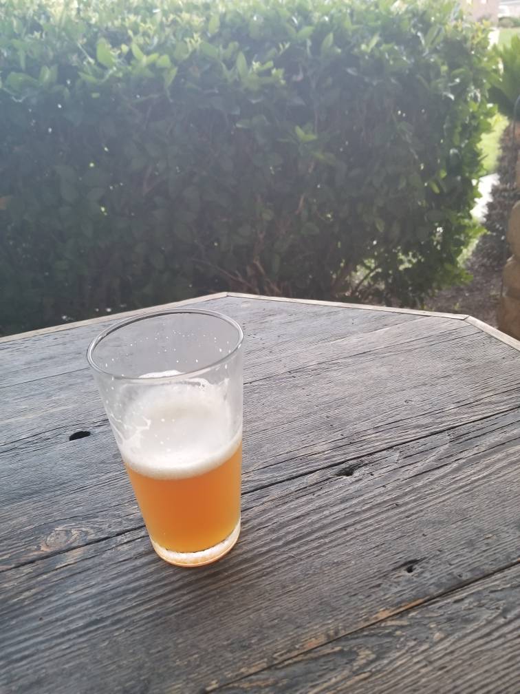 20180816_200225.jpeg