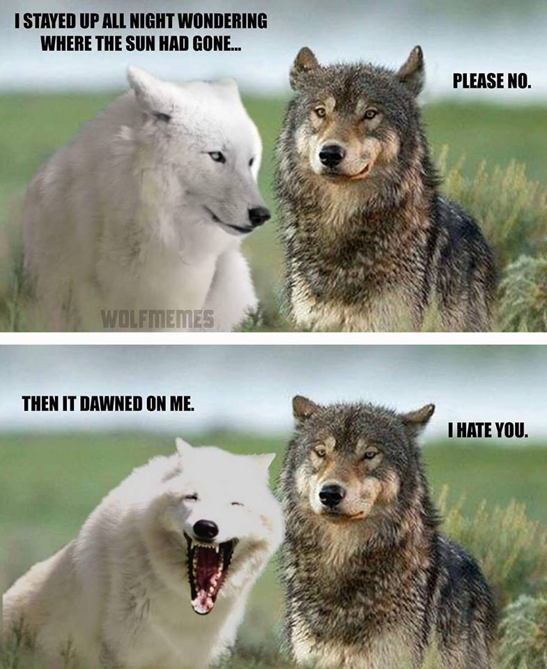 wolf1.png