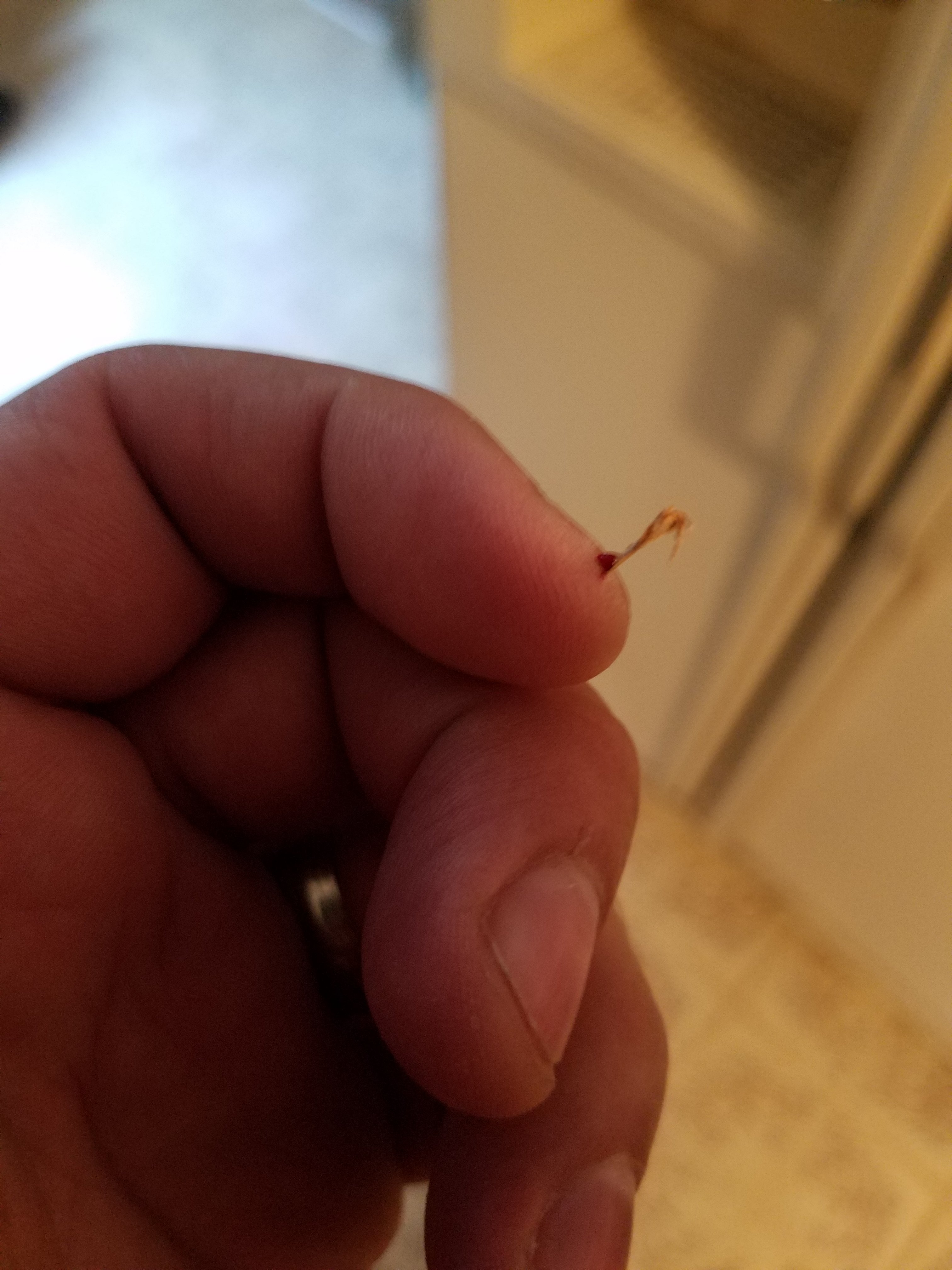 20180824_164825.jpg