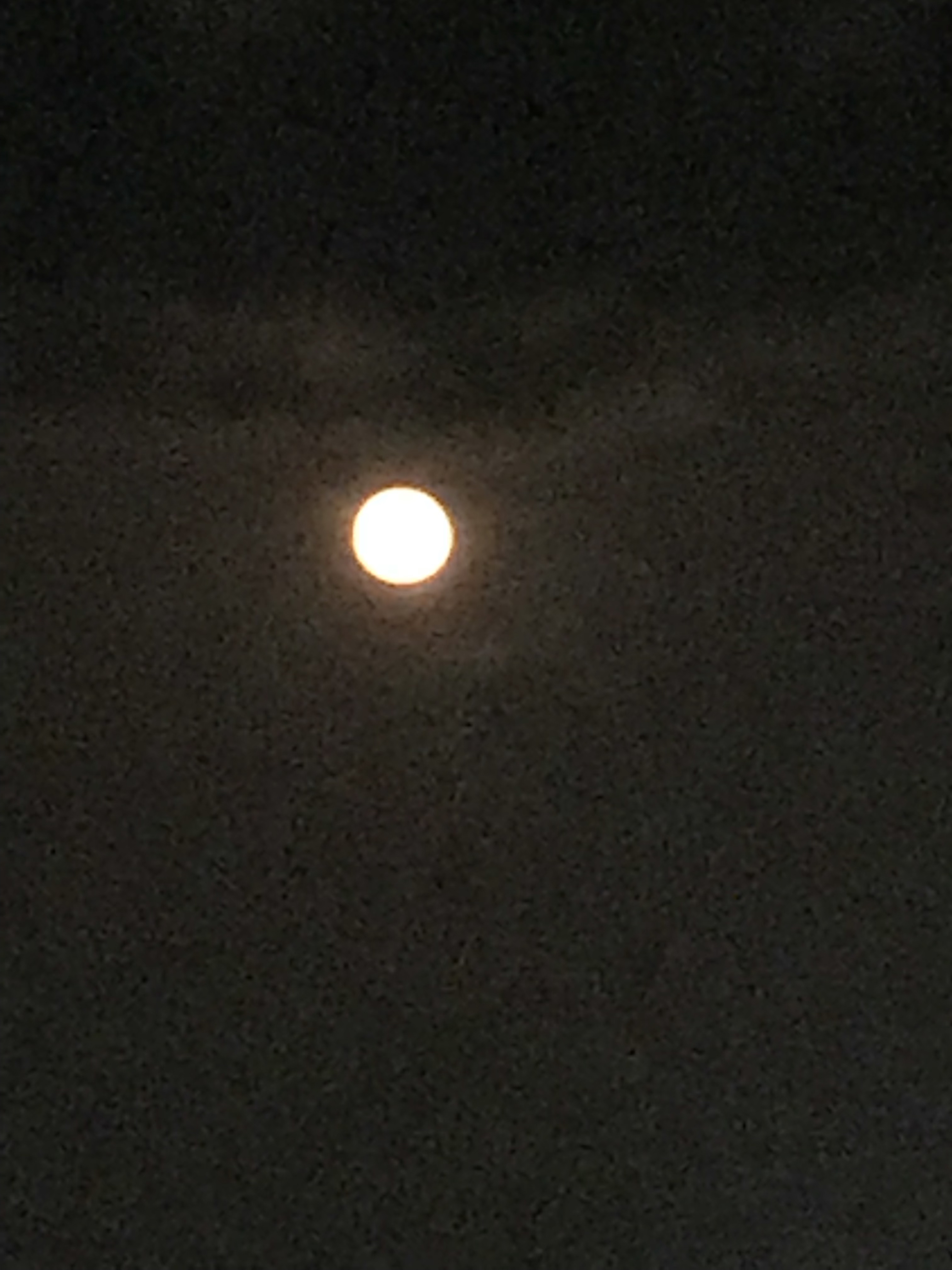 IMG_2589.jpg