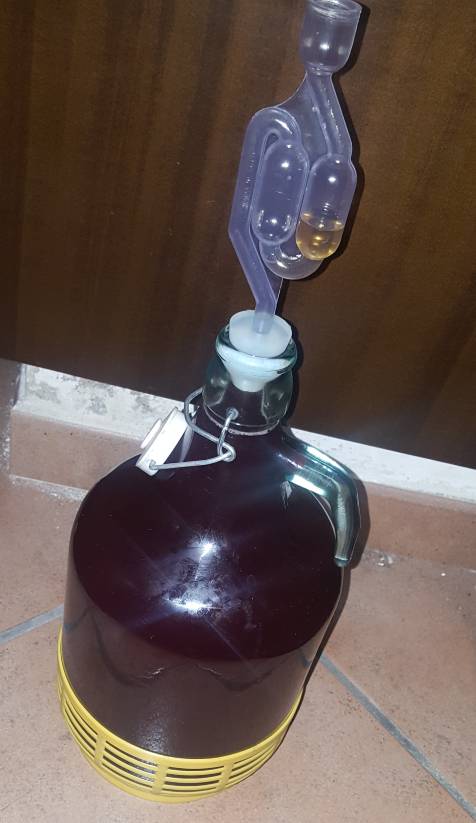 20180829_205904.jpeg
