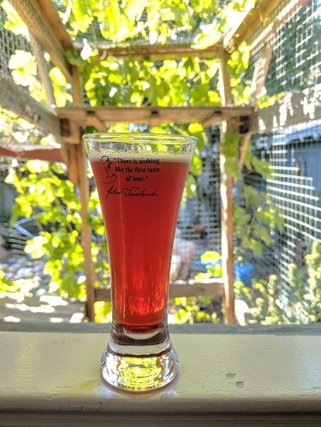 Blackberry Cider 31AUG2018.jpg