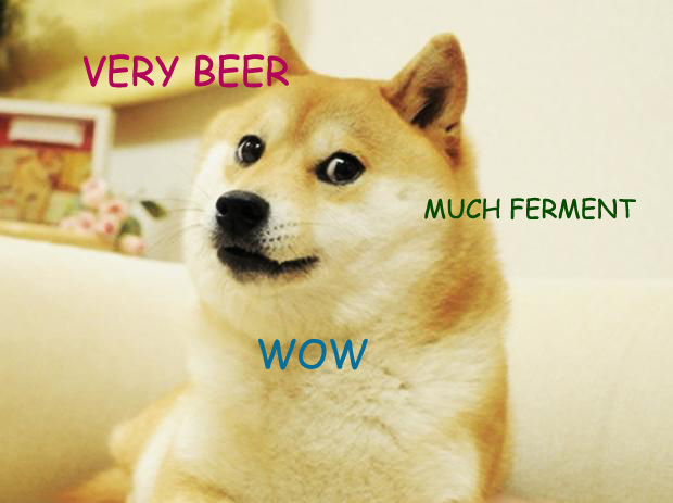 doge beer.jpg