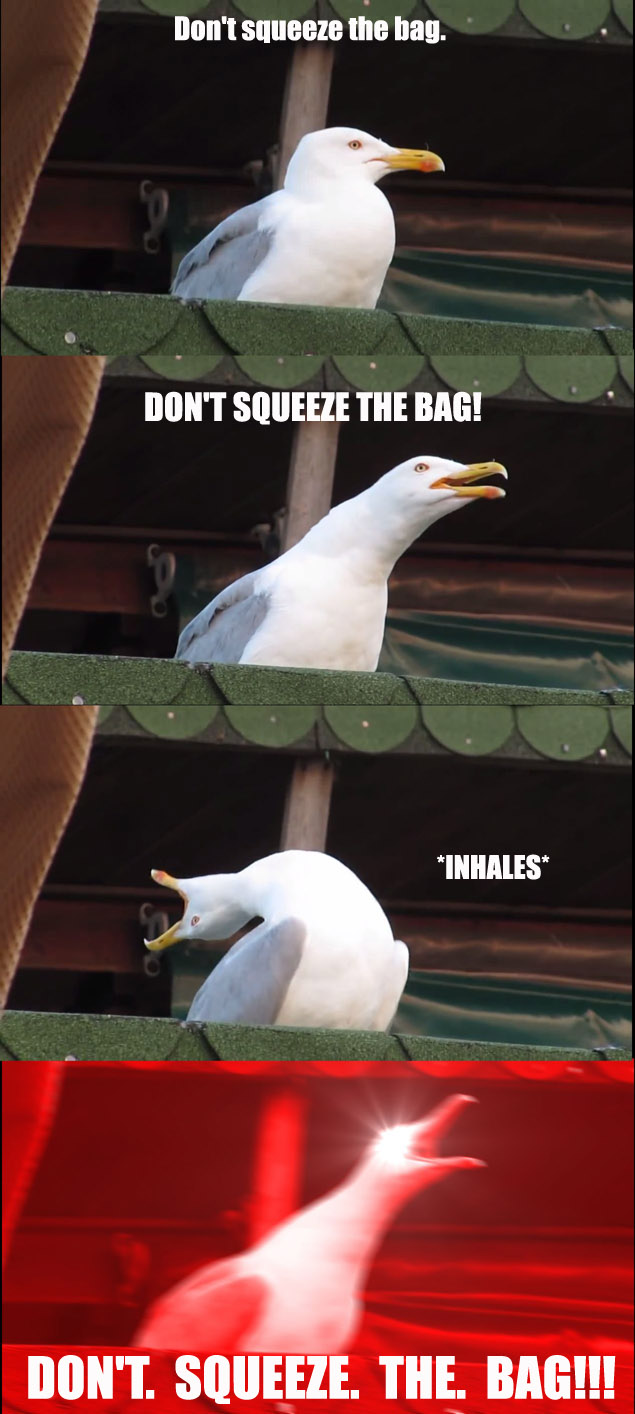 Inhaling-Seagull-Bag.jpg