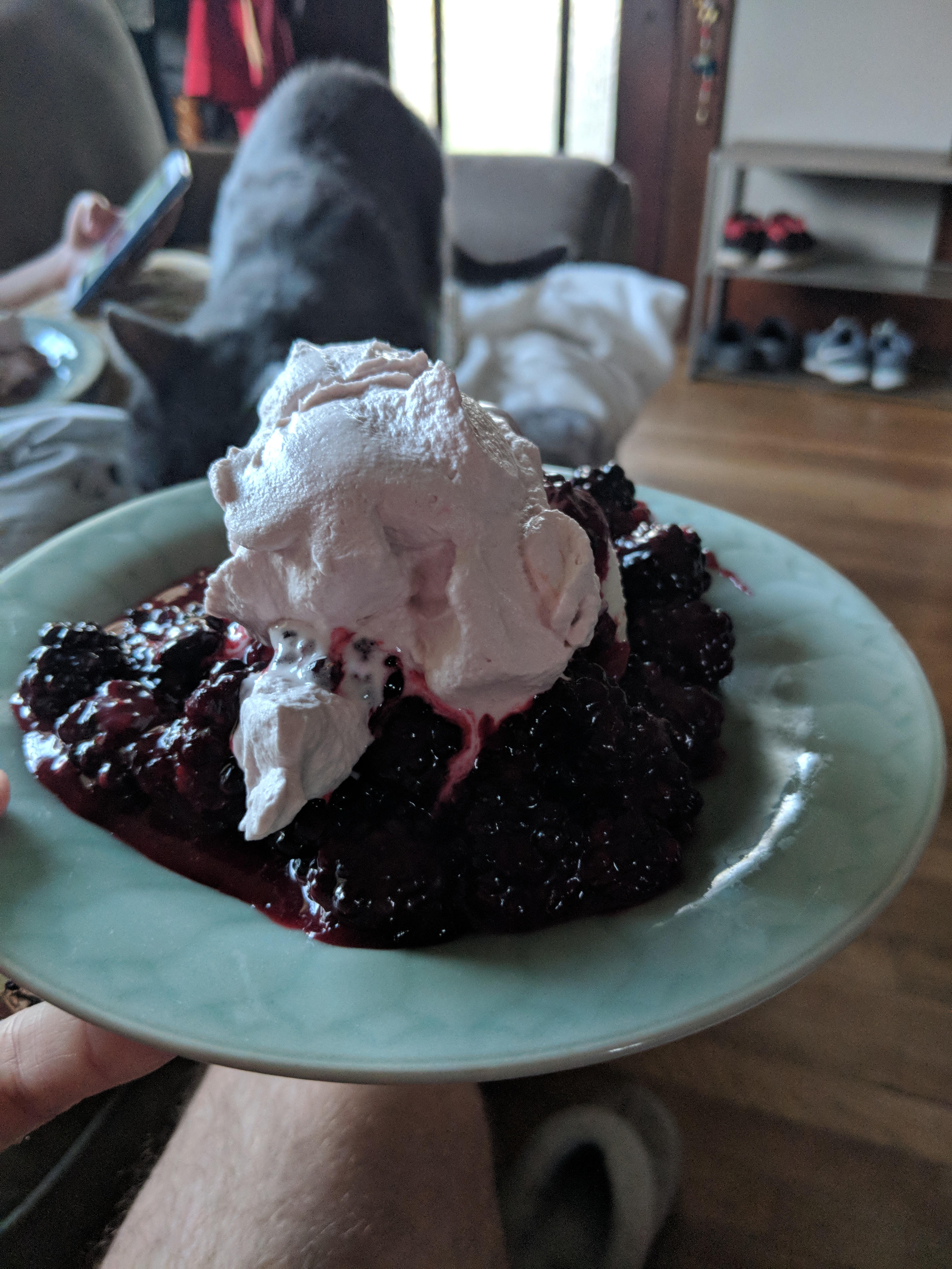 IMG_20180913_190103.jpg