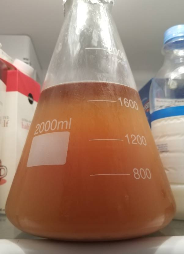 20180921_084801.jpeg