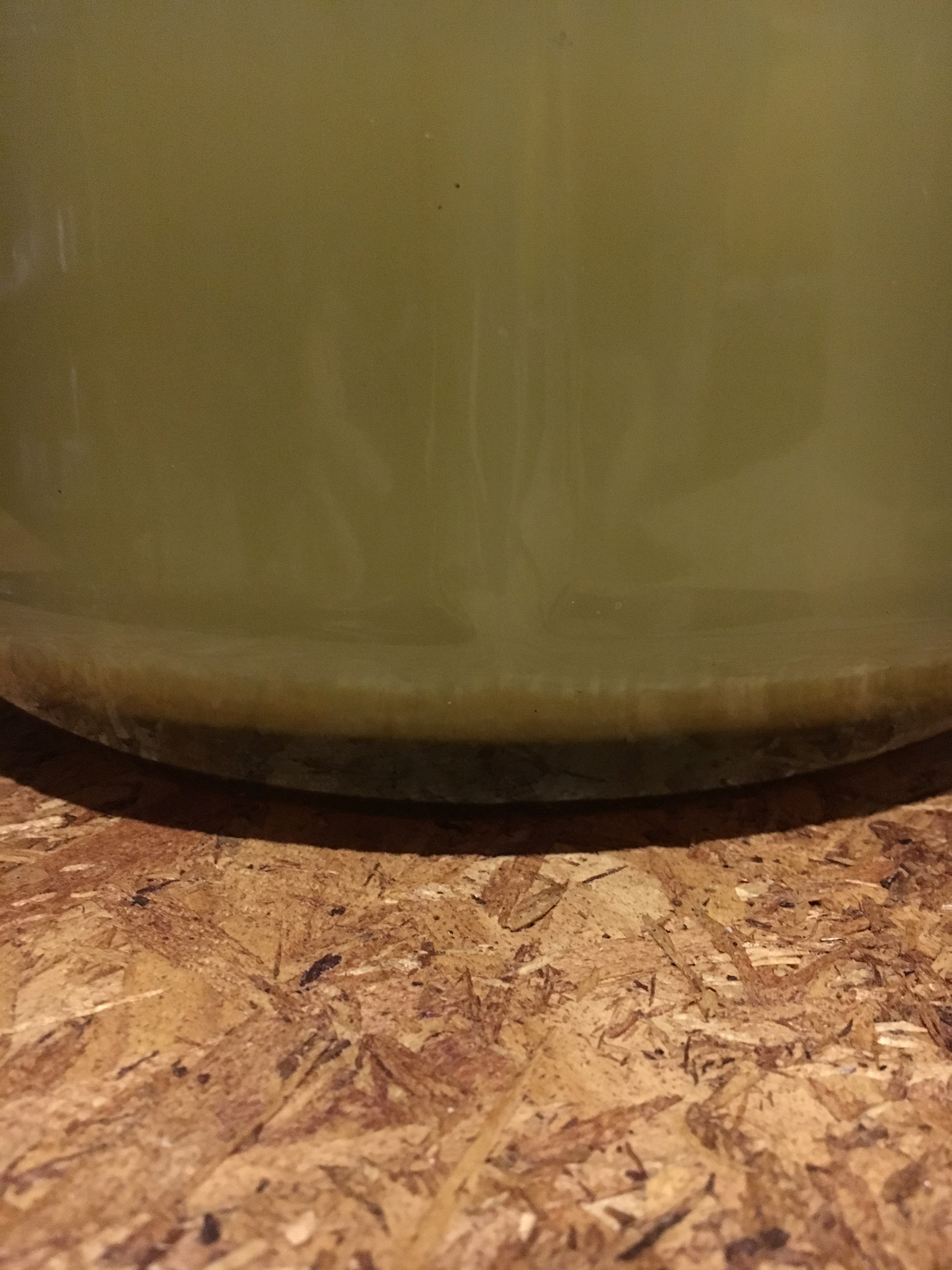DEB31775-1D4B-4731-A4F4-2A33FDAB24EC.jpeg