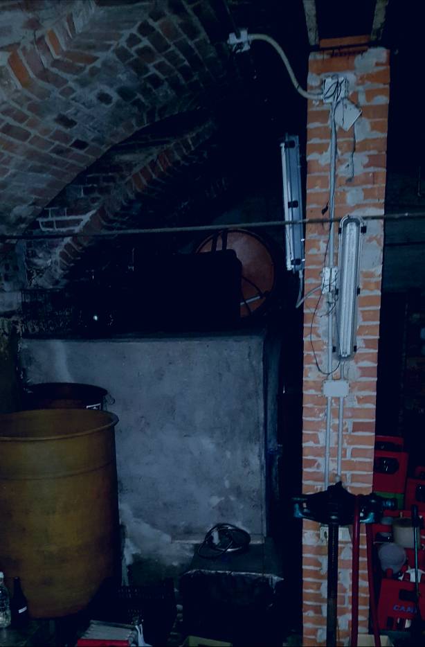 20180928_104620.jpeg
