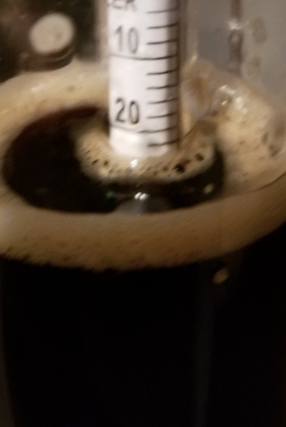 20180930_174407_752.jpeg