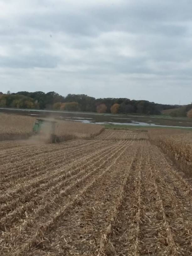 20181013_132714.jpeg