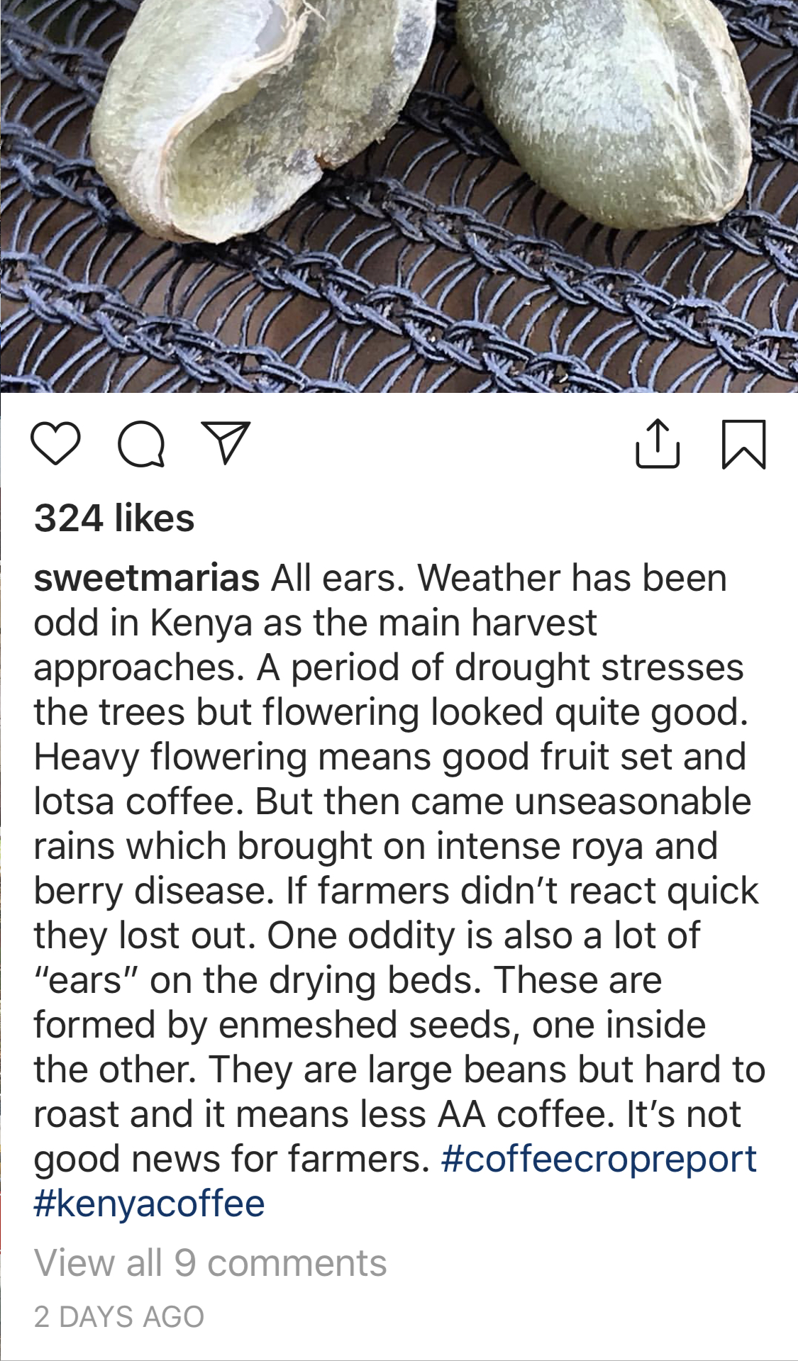 SM Kenyan 2018  update.jpeg