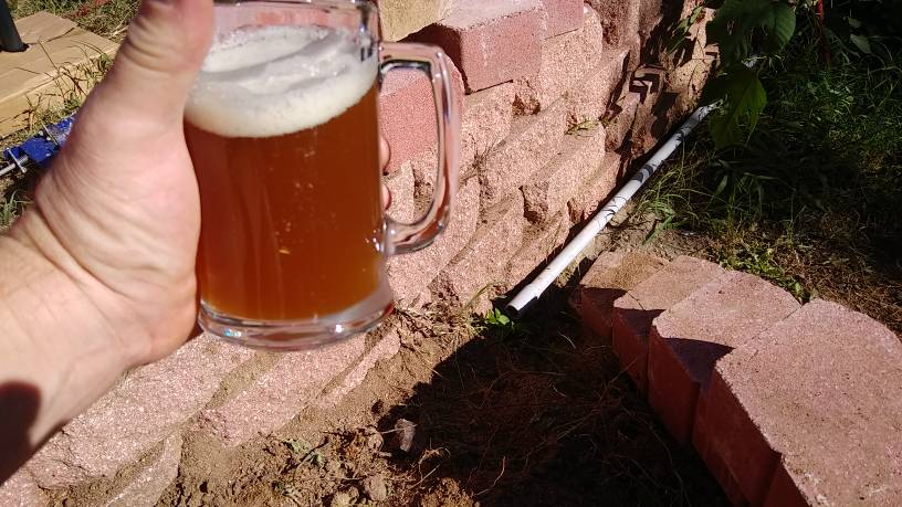 20181102_153226.jpeg