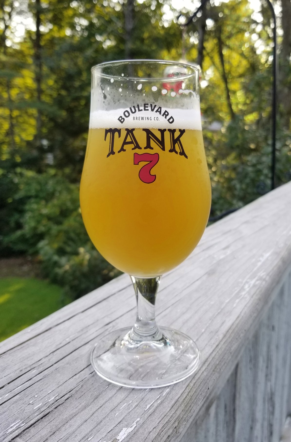 galaxy_neipa.jpg