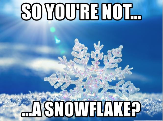 snowflake.JPG