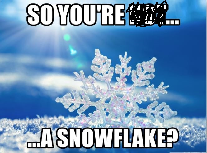 snowflake2.jpg