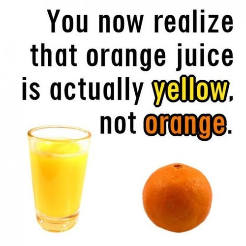 Z- OJ.jpeg