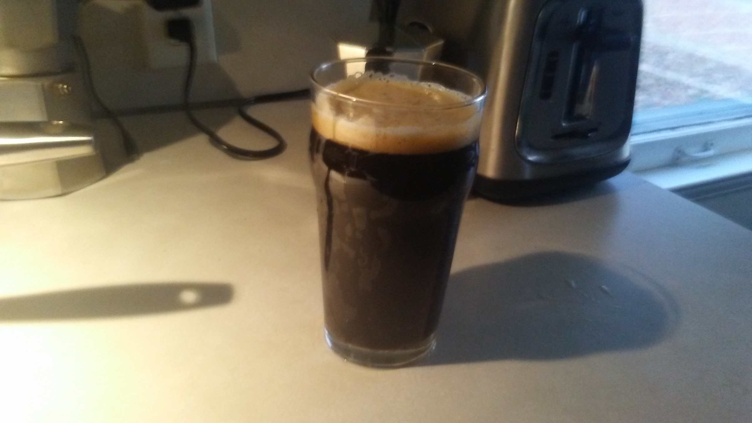 stout 11.11.18.jpg