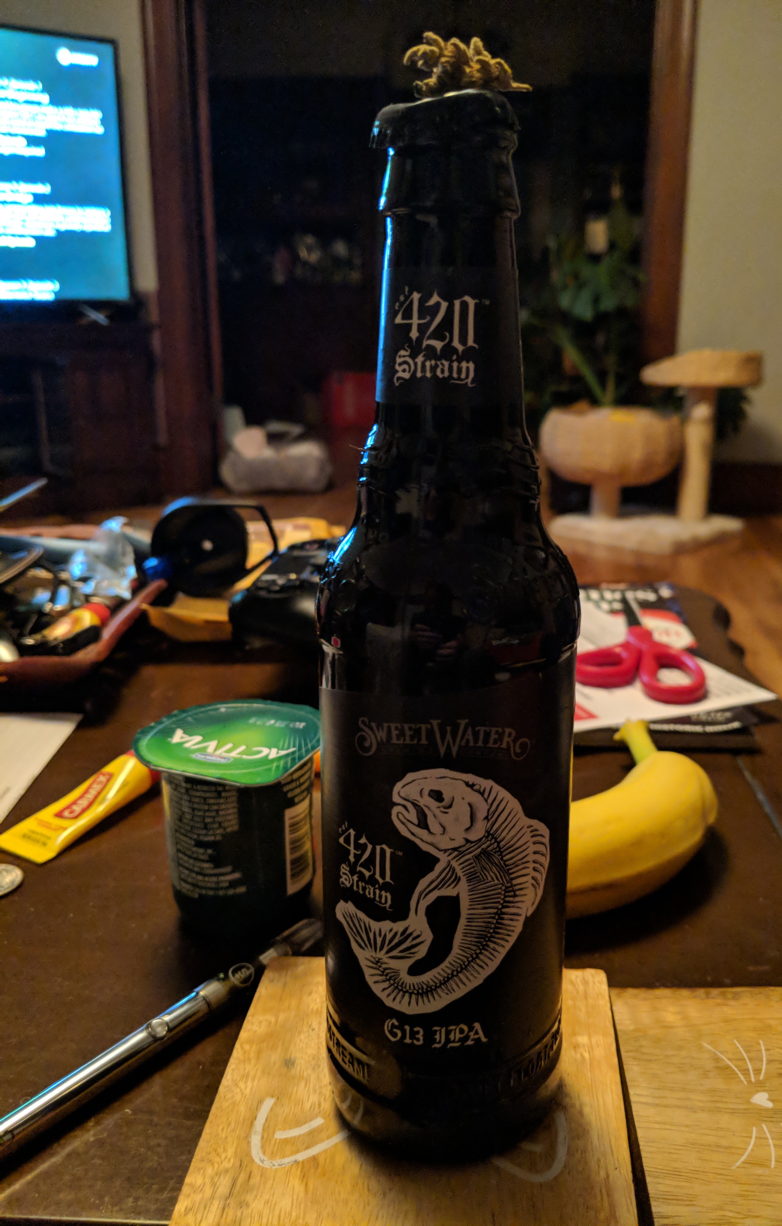 IMG_20181112_173635.jpg