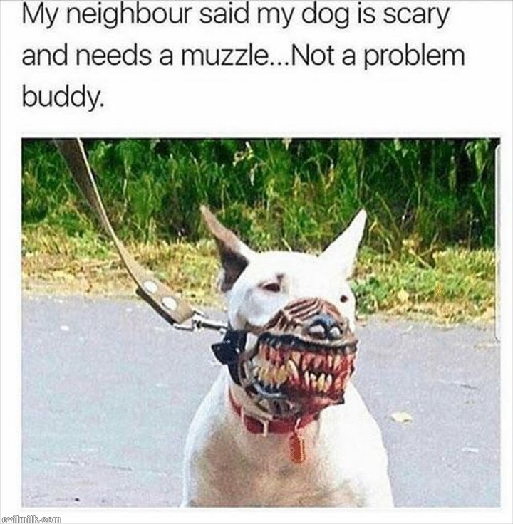 muzzle.jpg