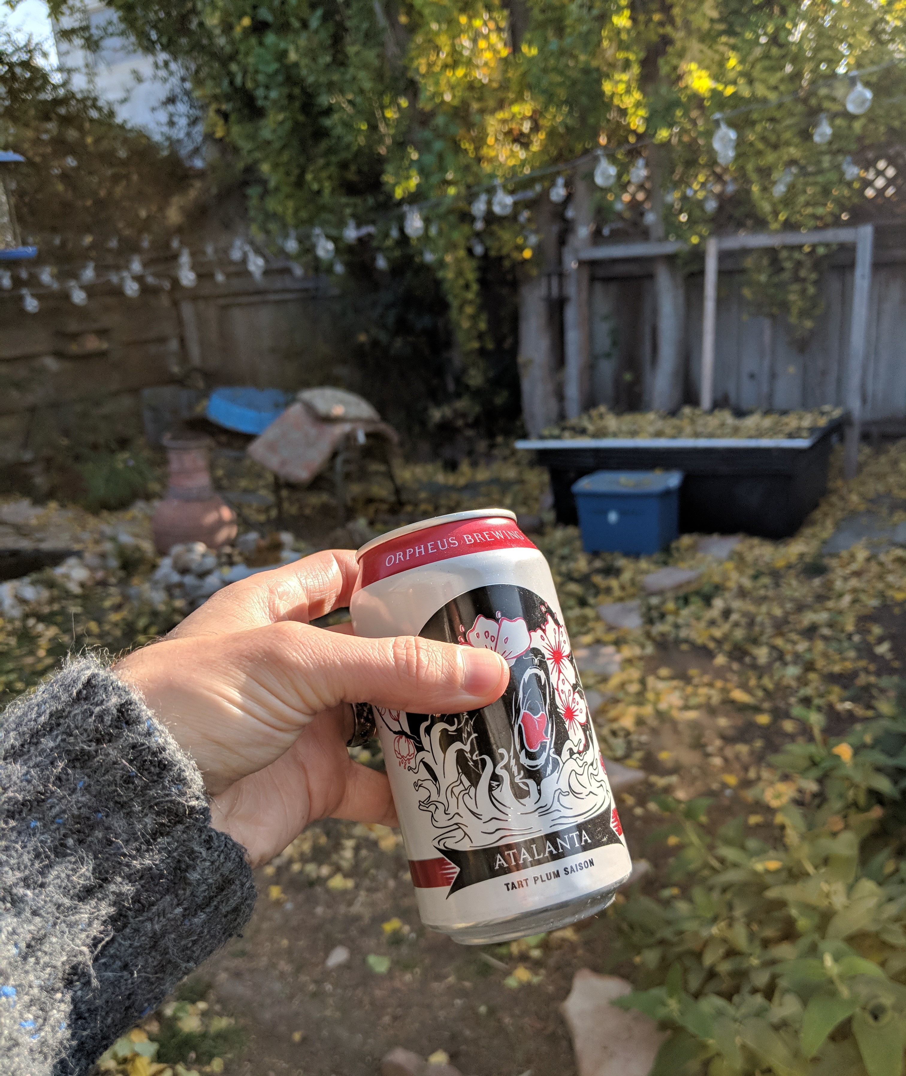 IMG_20181114_141346.jpg