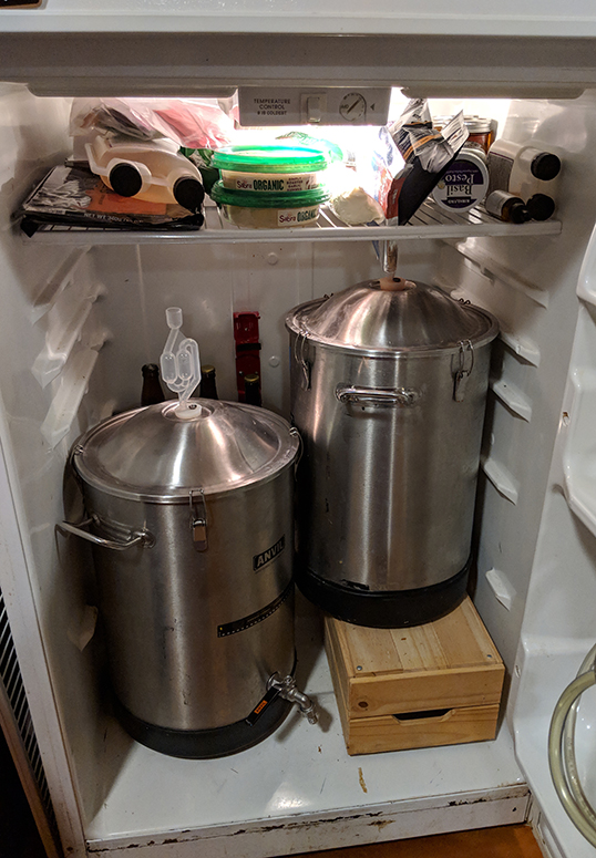 2bucketsInFridge4.jpg