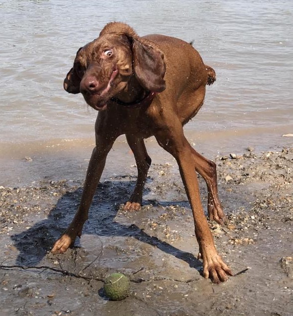 k9yvcjimrgt01.jpg