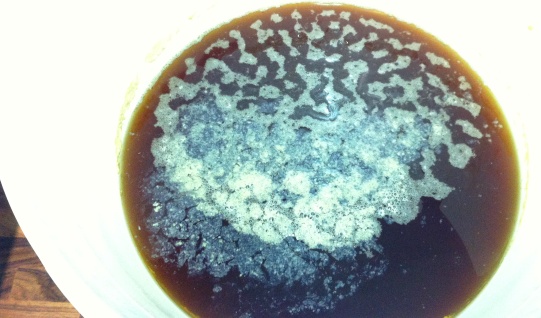 batch_contam_photo2.JPG