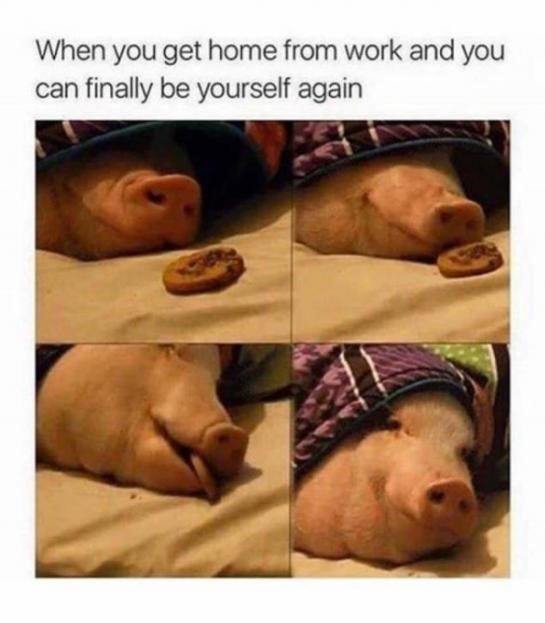 undeniable-truths-funny-true-memes-29.jpg