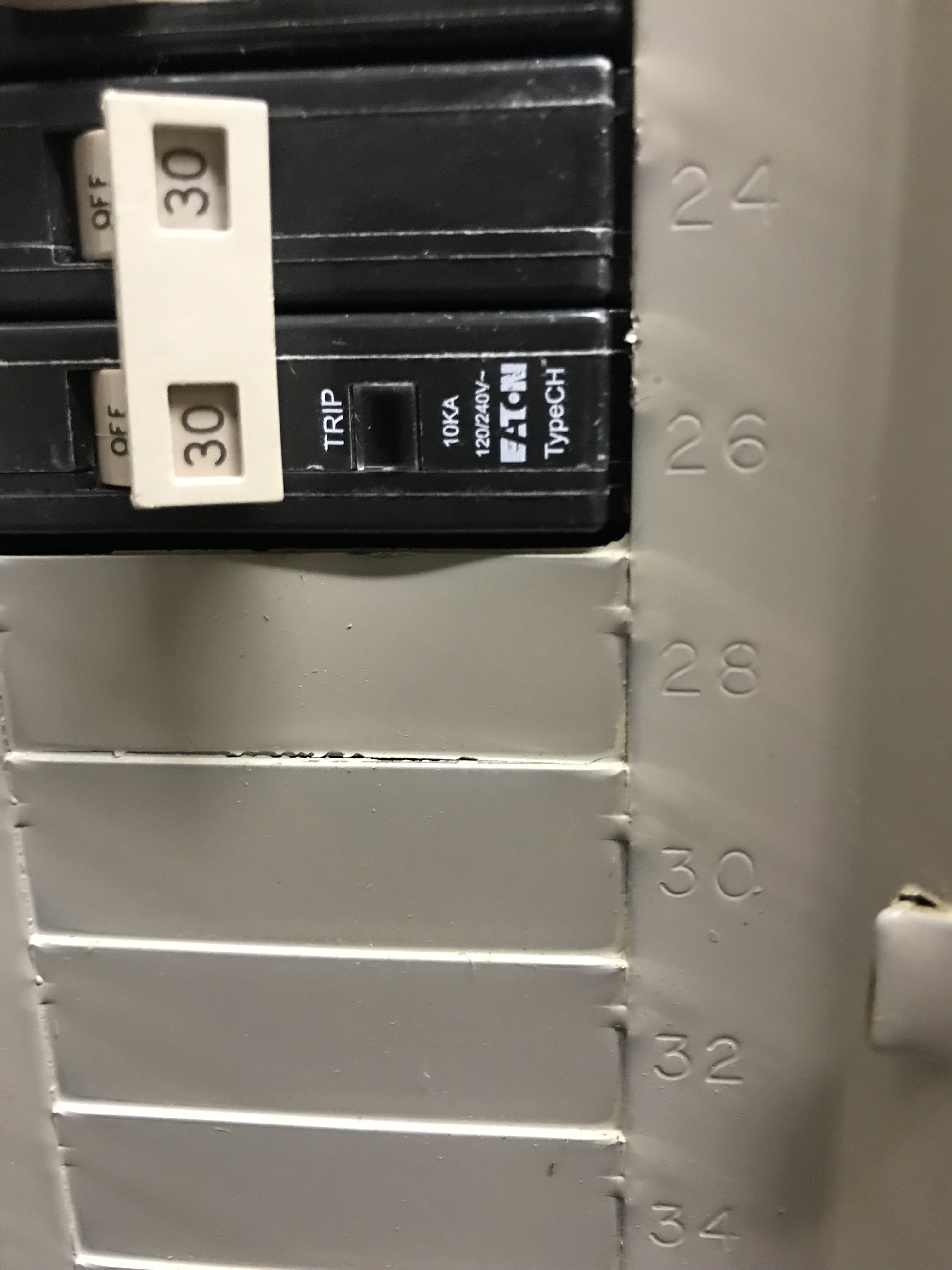 IMG_3372.jpeg