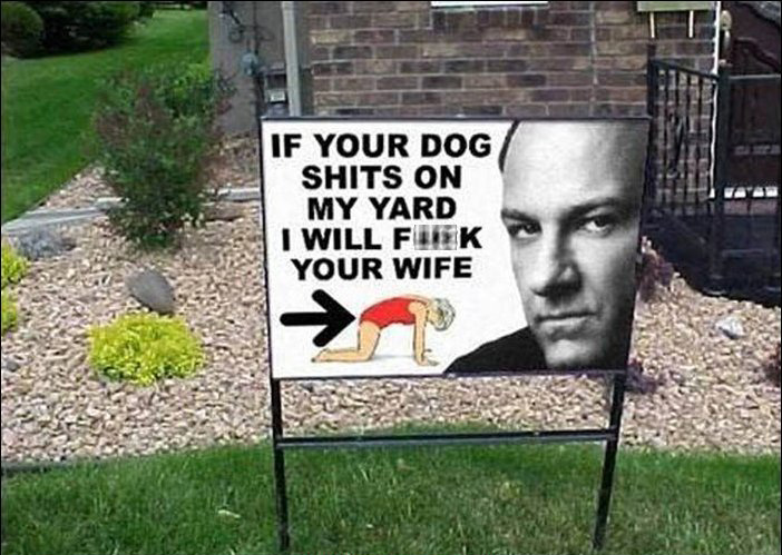 yard.jpg