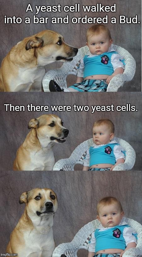 2nsp1s.jpg
