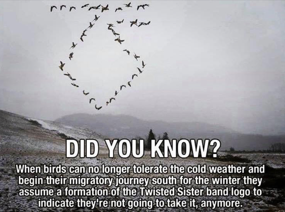 772D3B35-72C6-470A-8A45-D83D998EEC3E.jpeg