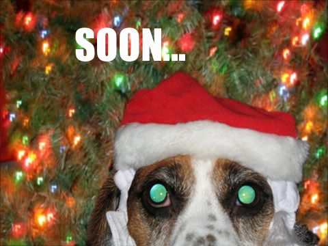 soon.jpg