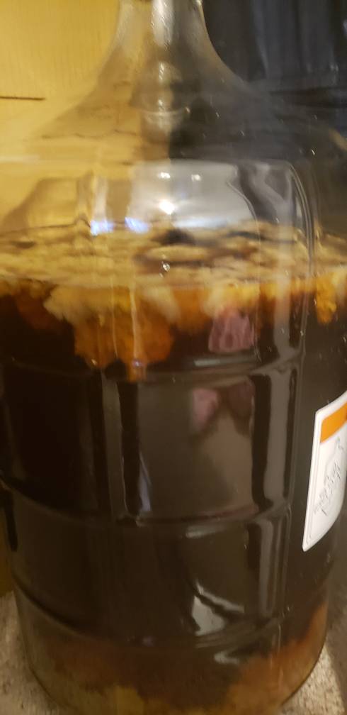 20181209_111200.jpeg